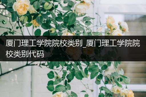 厦门理工学院院校类别_厦门理工学院院校类别代码