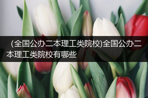 （全国公办二本理工类院校)全国公办二本理工类院校有哪些