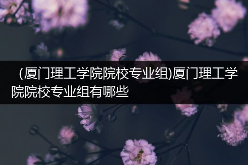 （厦门理工学院院校专业组)厦门理工学院院校专业组有哪些