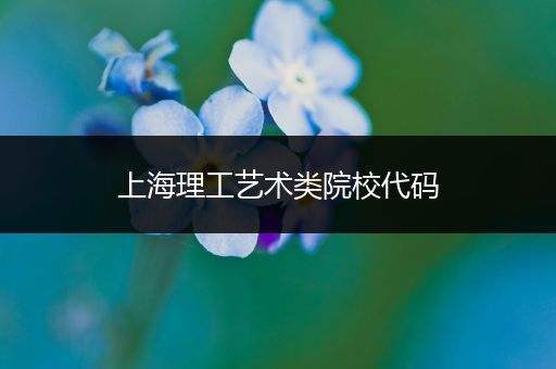 上海理工艺术类院校代码