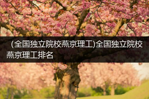 （全国独立院校燕京理工)全国独立院校燕京理工排名