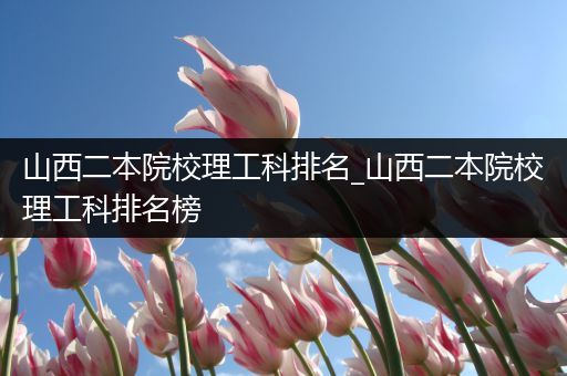 山西二本院校理工科排名_山西二本院校理工科排名榜