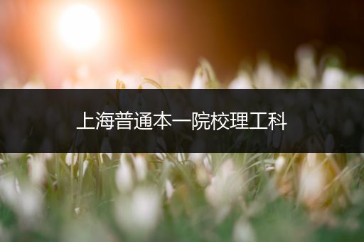 上海普通本一院校理工科