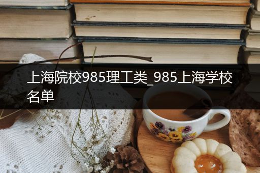 上海院校985理工类_985上海学校名单
