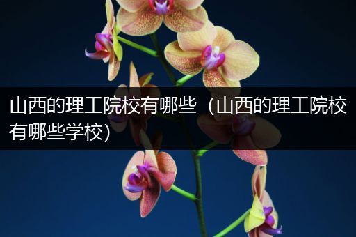 山西的理工院校有哪些（山西的理工院校有哪些学校）