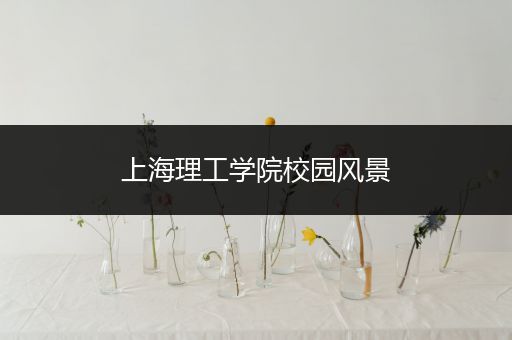 上海理工学院校园风景