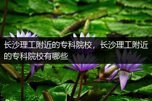 长沙理工附近的专科院校，长沙理工附近的专科院校有哪些