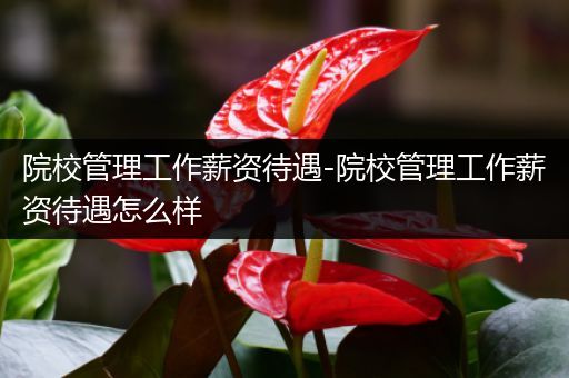 院校管理工作薪资待遇-院校管理工作薪资待遇怎么样