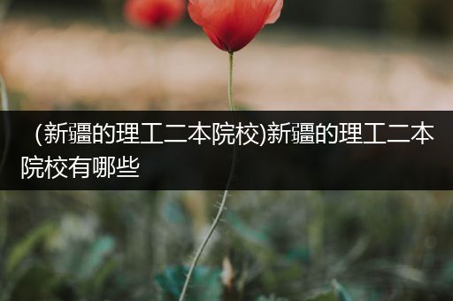 （新疆的理工二本院校)新疆的理工二本院校有哪些