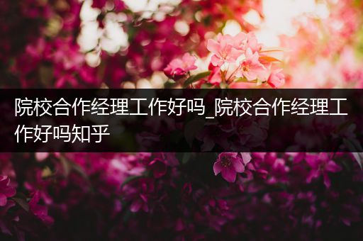 院校合作经理工作好吗_院校合作经理工作好吗知乎
