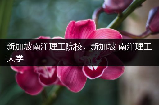 新加坡南洋理工院校，新加坡 南洋理工大学