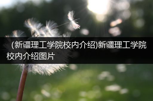 （新疆理工学院校内介绍)新疆理工学院校内介绍图片