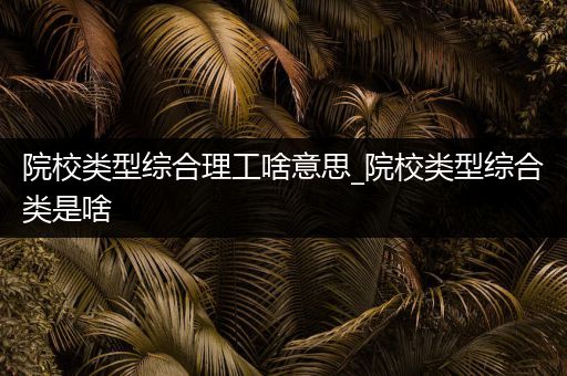 院校类型综合理工啥意思_院校类型综合类是啥