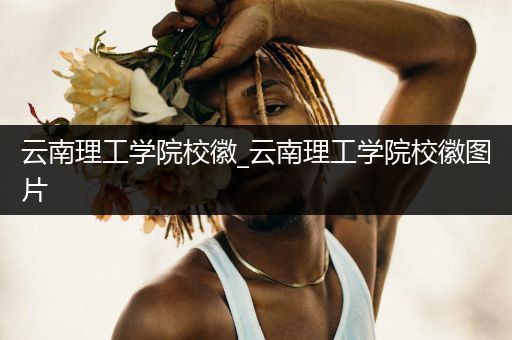 云南理工学院校徽_云南理工学院校徽图片