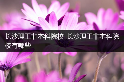 长沙理工非本科院校_长沙理工非本科院校有哪些