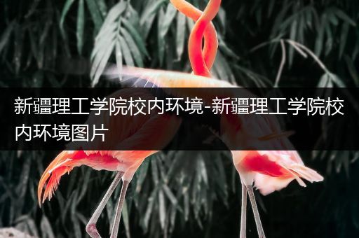 新疆理工学院校内环境-新疆理工学院校内环境图片