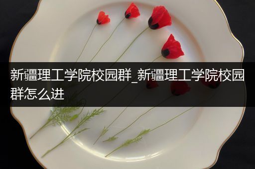 新疆理工学院校园群_新疆理工学院校园群怎么进