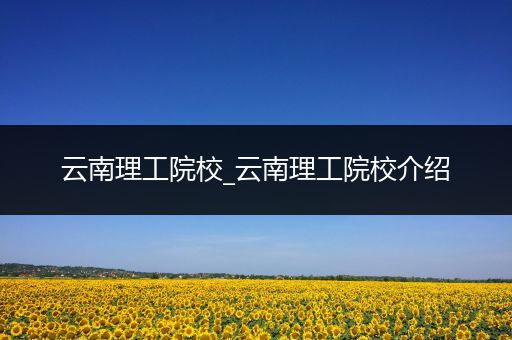 云南理工院校_云南理工院校介绍