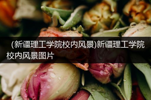 （新疆理工学院校内风景)新疆理工学院校内风景图片