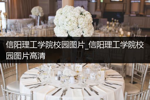 信阳理工学院校园图片_信阳理工学院校园图片高清