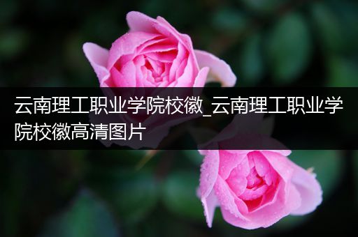 云南理工职业学院校徽_云南理工职业学院校徽高清图片