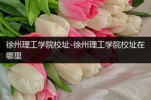 徐州理工学院校址-徐州理工学院校址在哪里