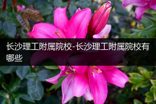 长沙理工附属院校-长沙理工附属院校有哪些