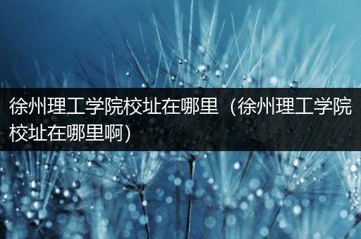 徐州理工学院校址在哪里（徐州理工学院校址在哪里啊）