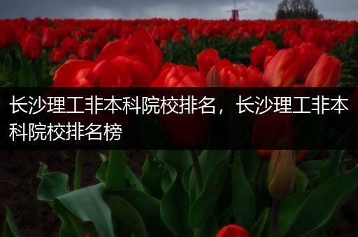 长沙理工非本科院校排名，长沙理工非本科院校排名榜