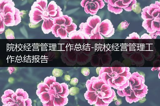 院校经营管理工作总结-院校经营管理工作总结报告