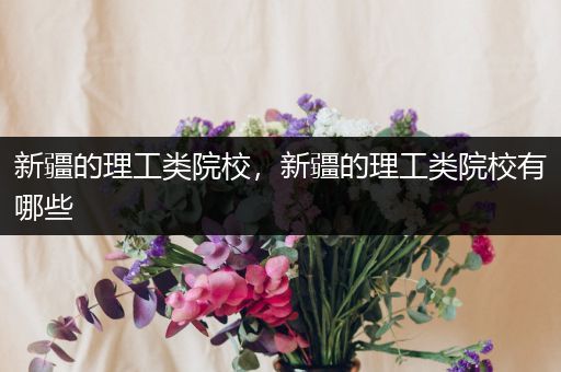 新疆的理工类院校，新疆的理工类院校有哪些