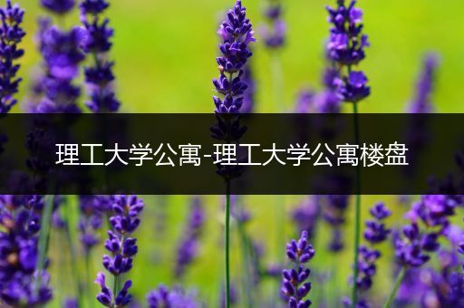理工大学公寓-理工大学公寓楼盘