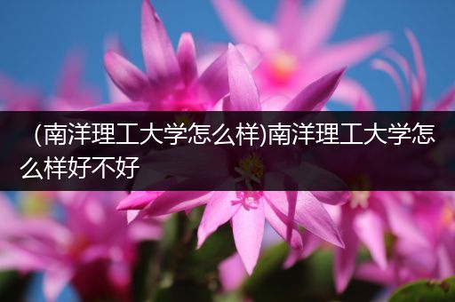 （南洋理工大学怎么样)南洋理工大学怎么样好不好
