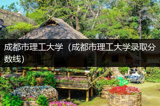 成都市理工大学（成都市理工大学录取分数线）