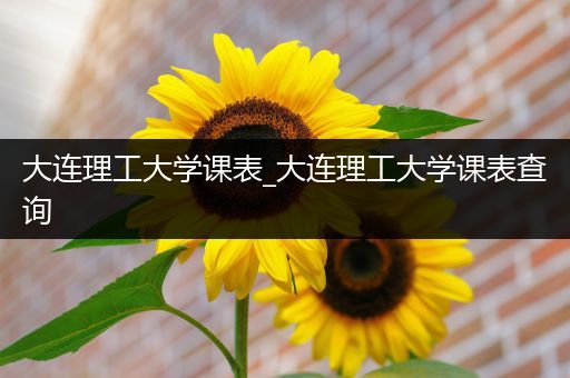 大连理工大学课表_大连理工大学课表查询