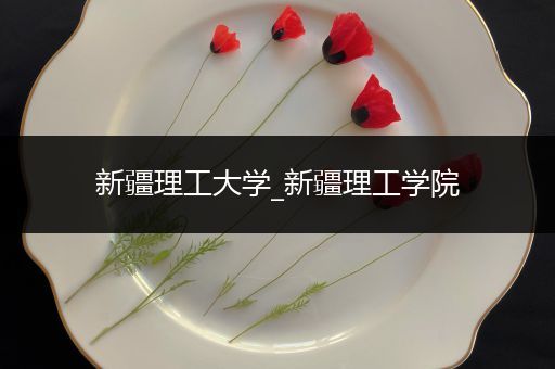 新疆理工大学_新疆理工学院