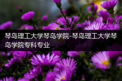 琴岛理工大学琴岛学院-琴岛理工大学琴岛学院专科专业