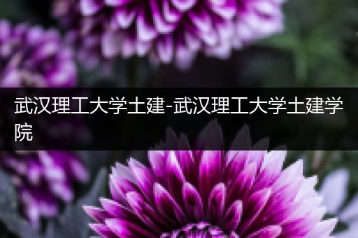 武汉理工大学土建-武汉理工大学土建学院