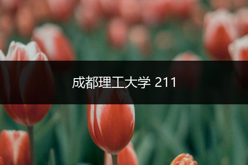 成都理工大学 211