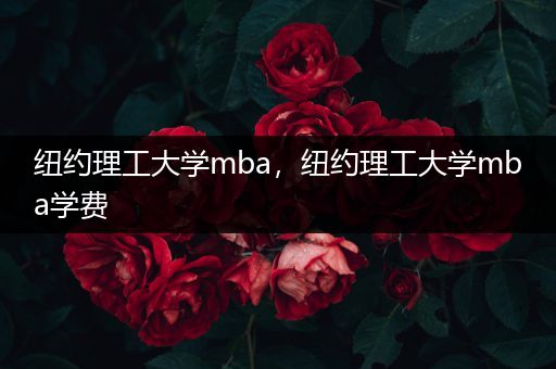 纽约理工大学mba，纽约理工大学mba学费