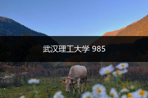 武汉理工大学 985