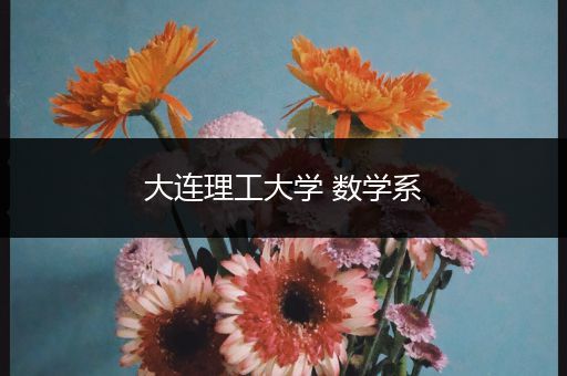 大连理工大学 数学系