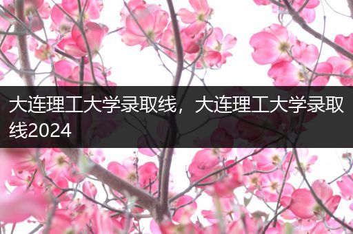 大连理工大学录取线，大连理工大学录取线2024
