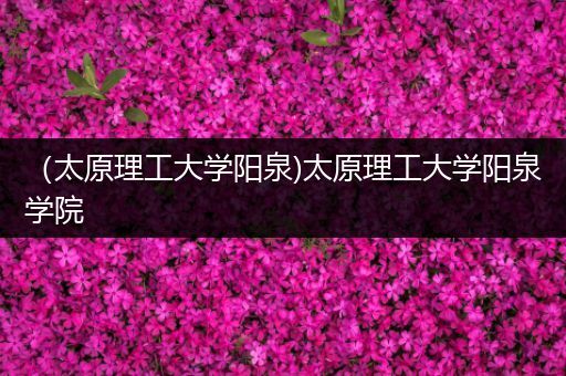 （太原理工大学阳泉)太原理工大学阳泉学院