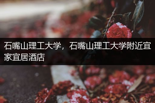 石嘴山理工大学，石嘴山理工大学附近宜家宜居酒店