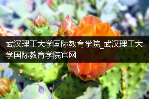 武汉理工大学国际教育学院_武汉理工大学国际教育学院官网
