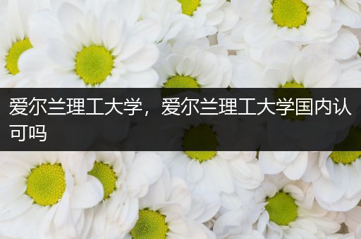 爱尔兰理工大学，爱尔兰理工大学国内认可吗
