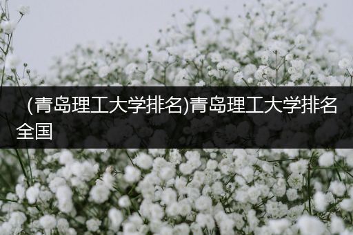 （青岛理工大学排名)青岛理工大学排名全国