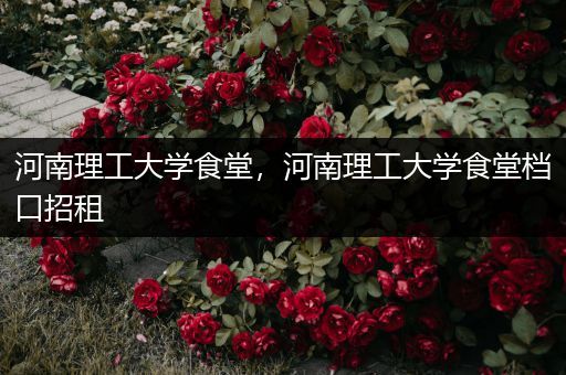河南理工大学食堂，河南理工大学食堂档口招租