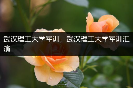 武汉理工大学军训，武汉理工大学军训汇演